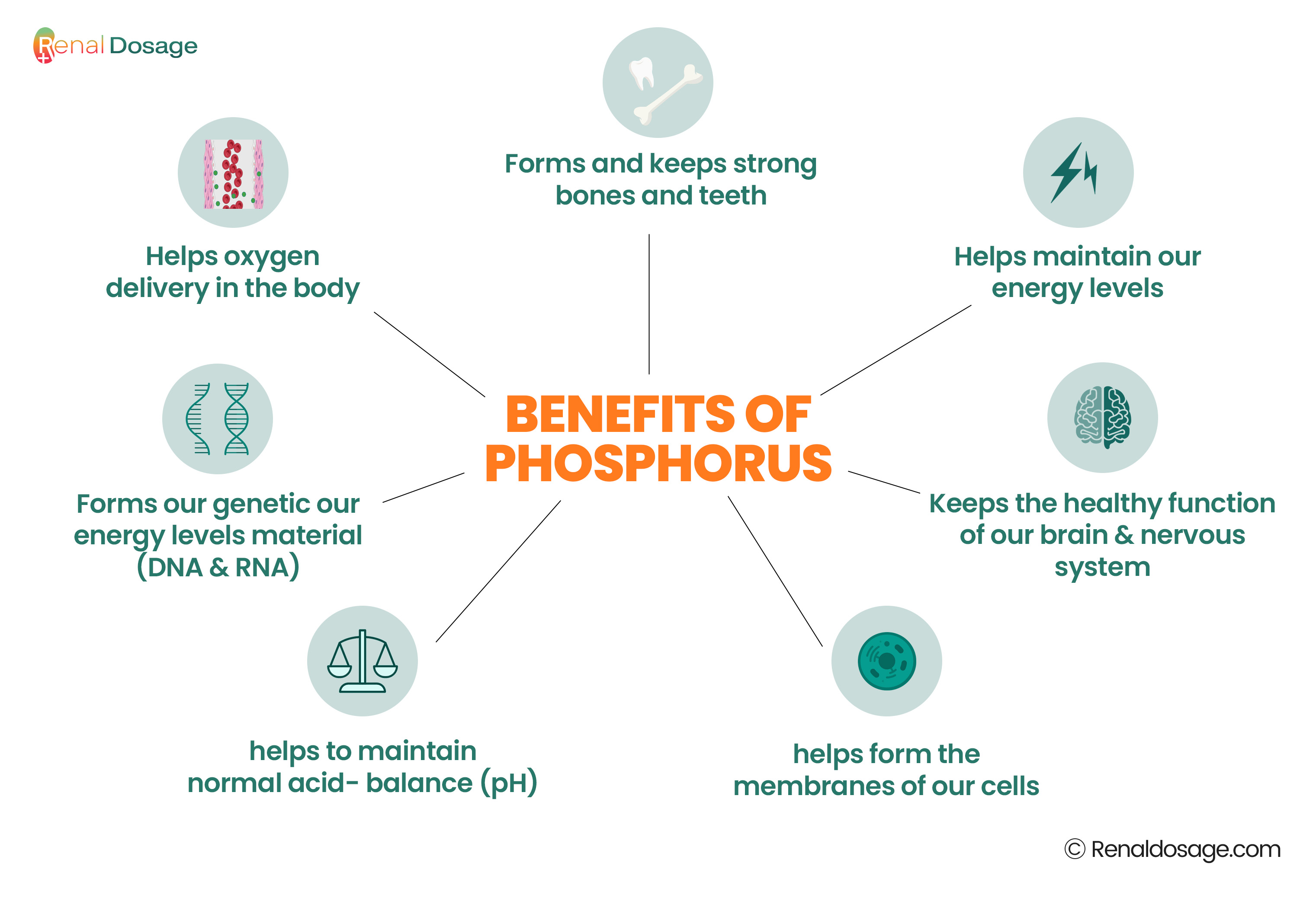 benefits of the phosphorus